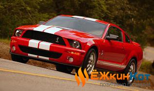 2005 Shelby Cobra GT500