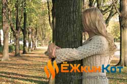 Как дерево нас лечит